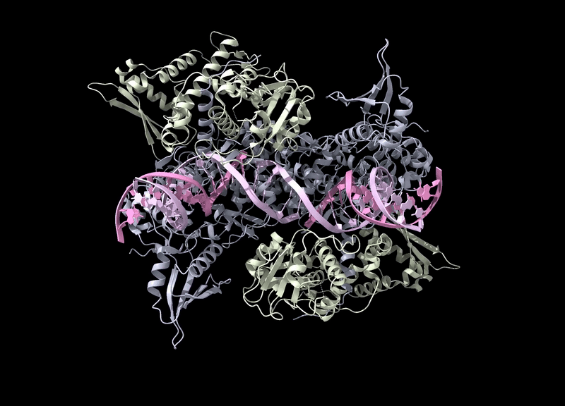 Protein Computational Modeling