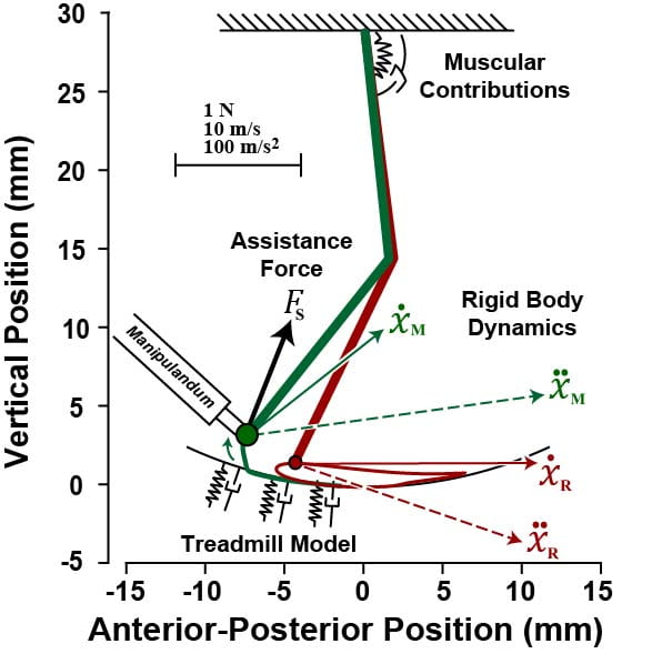 Neuromotor Systems Laboratory